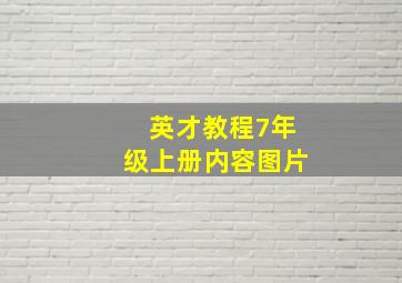 英才教程7年级上册内容图片