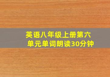 英语八年级上册第六单元单词朗读30分钟