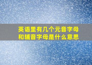 英语里有几个元音字母和辅音字母是什么意思