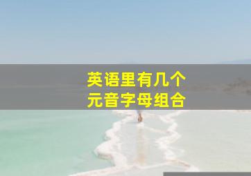 英语里有几个元音字母组合