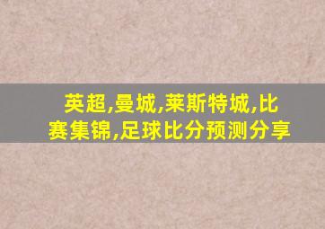 英超,曼城,莱斯特城,比赛集锦,足球比分预测分享