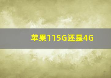 苹果115G还是4G