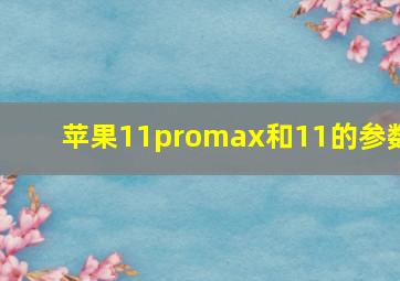 苹果11promax和11的参数