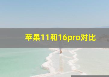 苹果11和16pro对比