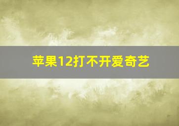 苹果12打不开爱奇艺