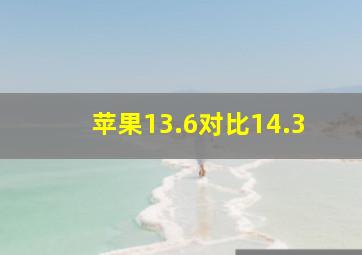 苹果13.6对比14.3