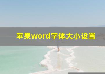 苹果word字体大小设置