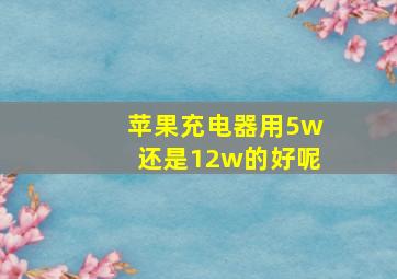 苹果充电器用5w还是12w的好呢