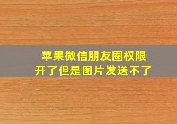 苹果微信朋友圈权限开了但是图片发送不了