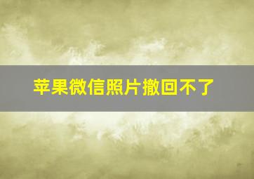 苹果微信照片撤回不了