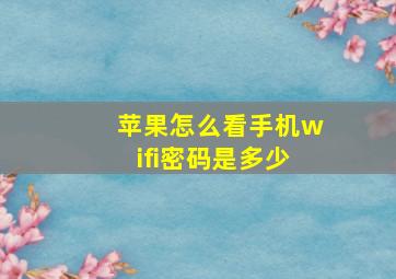 苹果怎么看手机wifi密码是多少