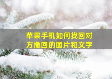 苹果手机如何找回对方撤回的图片和文字