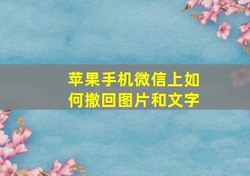 苹果手机微信上如何撤回图片和文字