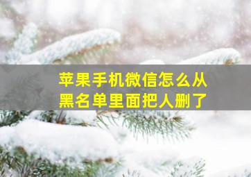 苹果手机微信怎么从黑名单里面把人删了