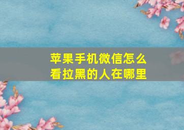 苹果手机微信怎么看拉黑的人在哪里