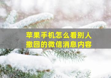 苹果手机怎么看别人撤回的微信消息内容