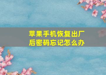 苹果手机恢复出厂后密码忘记怎么办