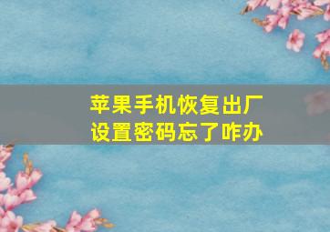 苹果手机恢复出厂设置密码忘了咋办