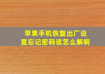 苹果手机恢复出厂设置忘记密码该怎么解啊