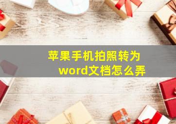 苹果手机拍照转为word文档怎么弄