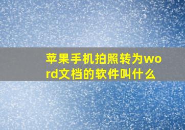 苹果手机拍照转为word文档的软件叫什么