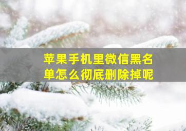 苹果手机里微信黑名单怎么彻底删除掉呢