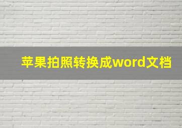 苹果拍照转换成word文档