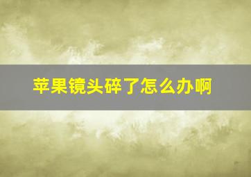 苹果镜头碎了怎么办啊