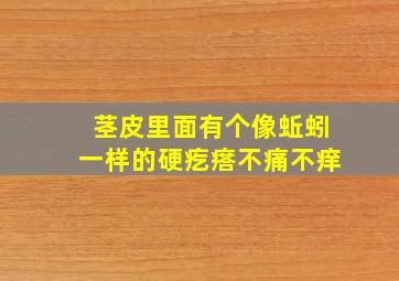 茎皮里面有个像蚯蚓一样的硬疙瘩不痛不痒