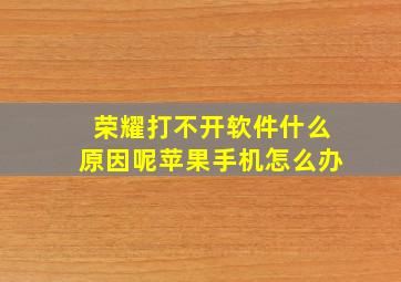 荣耀打不开软件什么原因呢苹果手机怎么办