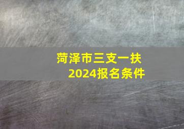 菏泽市三支一扶2024报名条件