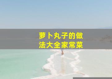 萝卜丸子的做法大全家常菜