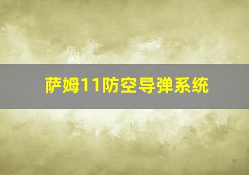 萨姆11防空导弹系统