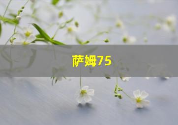 萨姆75