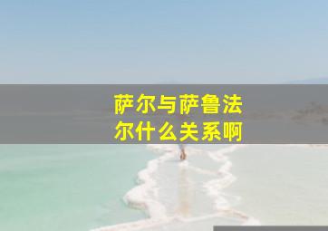 萨尔与萨鲁法尔什么关系啊