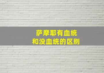 萨摩耶有血统和没血统的区别