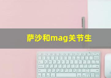 萨沙和mag关节生