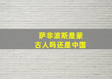 萨非波斯是蒙古人吗还是中国