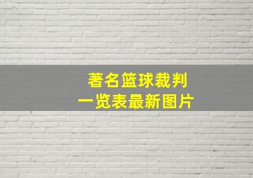 著名篮球裁判一览表最新图片