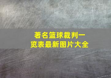 著名篮球裁判一览表最新图片大全