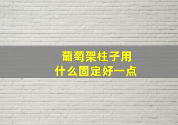 葡萄架柱子用什么固定好一点