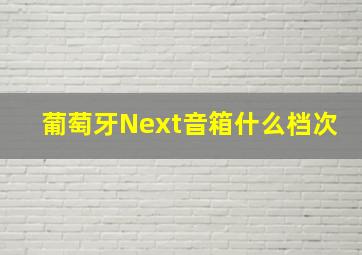 葡萄牙Next音箱什么档次