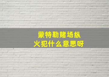 蒙特勒赌场纵火犯什么意思呀