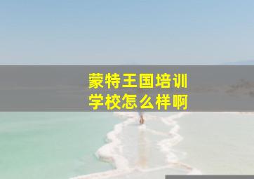 蒙特王国培训学校怎么样啊