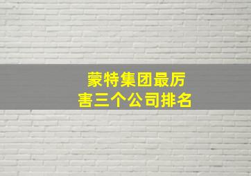 蒙特集团最厉害三个公司排名