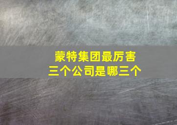 蒙特集团最厉害三个公司是哪三个