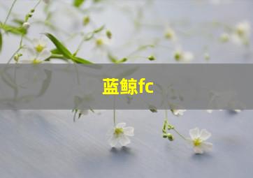 蓝鲸fc