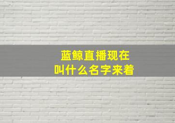 蓝鲸直播现在叫什么名字来着