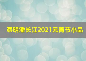 蔡明潘长江2021元宵节小品