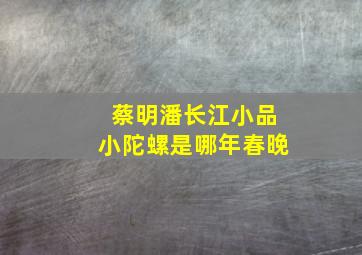 蔡明潘长江小品小陀螺是哪年春晚